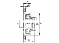 轴承座单元 RCJT1/2, 对角法兰轴承座单元，铸铁，根据 ABMA 15 - 1991, ABMA 14 - 1991, ISO3228 带有偏心紧定环，R型密封，英制