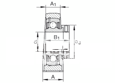 直立式轴承座单元 PASE1-1/4, 铸铁轴承座，外球面球轴承，根据 ABMA 15 - 1991, ABMA 14 - 1991, ISO3228 带有偏心紧定环，P型密封，英制