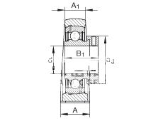 直立式轴承座单元 PASE1/2, 铸铁轴承座，外球面球轴承，根据 ABMA 15 - 1991, ABMA 14 - 1991, ISO3228 带有偏心紧定环，P型密封，英制