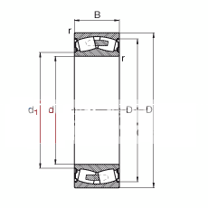 调心滚子轴承 F-803031.PRL, 两侧唇密封，用于连铸加工