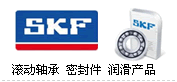 瑞典SKF轴承